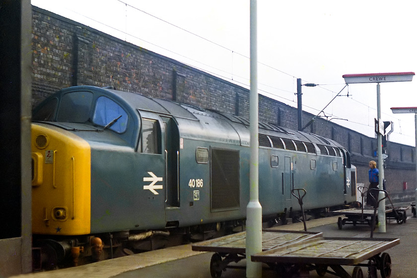 40186, up tanker train, Crewe station 
 40186 stands at Crewe Station with an up tanker train. Personally, I didn't think that the full sized headcode panelled 40s looked great. I preferred the split box ones or, even better the ones with discs. 40186 survived in traffic until December 1983 being broken up at BREL Doncaster. Notice the vintage parcel trolleys scattered around the platform end; great for sitting on to do some serious spotting whilst eating a cheese and pickle sandwich from your Gola bag! 
 Keywords: 40186 Crewe