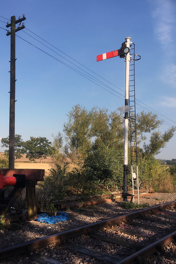 Starter signal, Pitsford sidings 
 The NLR's home signal stands in the early autumn sunshine at the end of the Pitsford Sidings. I love the lighting at this time of year, it gives a warm light and, with it being a little lower in the sky, creates softer shadows with less contrast. 
 Keywords: Starter signal Pitsford sidings