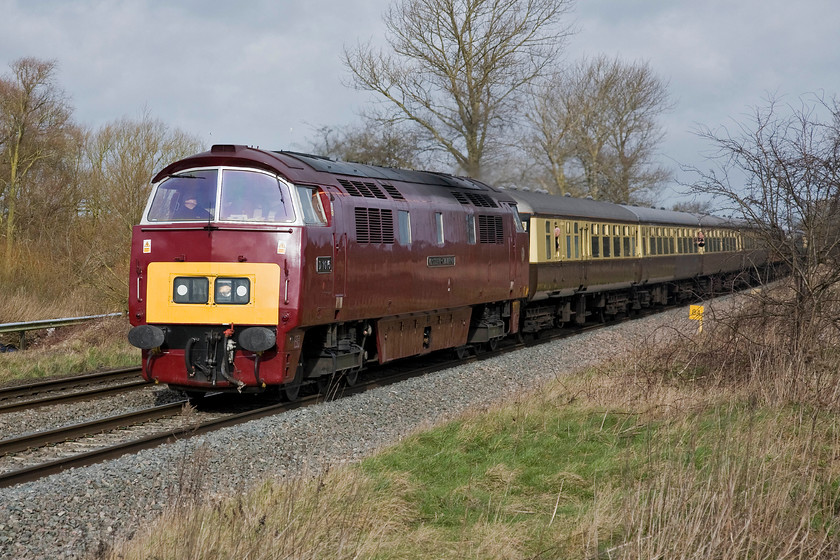 D1015, outward leg of The Chiltern Champion 1, 09.48 Solihull-Marylebone (1Z51), King's Sutton SP486377 
 D1015 'Western Champion' looking and sounding fantastic as it passes just north of King's Sutton with the first leg of The Chiltern Champion charter. Running as 1Z51 the charter left Solihull at a very sensible 09.48 heading for Metroland as Sir John Betjeman coined it. I could hear the Western for some distance as it left Banbury before it roared past me at this location with 47773 tagged on at the rear. 
 Keywords: D1015 The Chiltern Champion 1 09.48 Solihull-Marylebone 1Z51 King's Sutton SP486377 Western Champion Vintage Trains