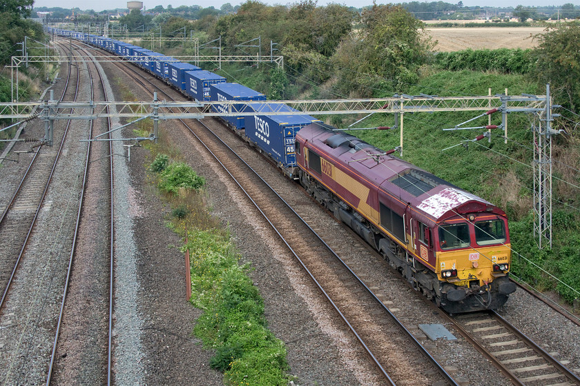 66031, 11.50 DIRFT-Doncaster iport (4E49, 6E), Victoria bridge 
 This is a bit of a rarity, in fact, a service that I never actually ever photographed! The 11.50 Daventry to Doncaster iport Tesco Express is seen heading south between Northampton and Milton Keynes. It will continue on to London to then take the north London line to head north again on the ECML. This is all due to some sort of line blockade preventing its normal route being followed. Also, unusually, the DRS operated service is being headed by one of a trio of DB (ex EWS liveried) 66/0s that are being hired in to cover certain workings. 66031 is always recognisable due to its faded white cab roof - a vain attempt to reflect heat away from the driver's area as these locomotives are well known for being chronically hot particularly on days such as this having no air conditioning fitted. 
 Keywords: 66031 11.50 DIRFT-Doncaster iport 4E49 Victoria bridge DRS EWS DB