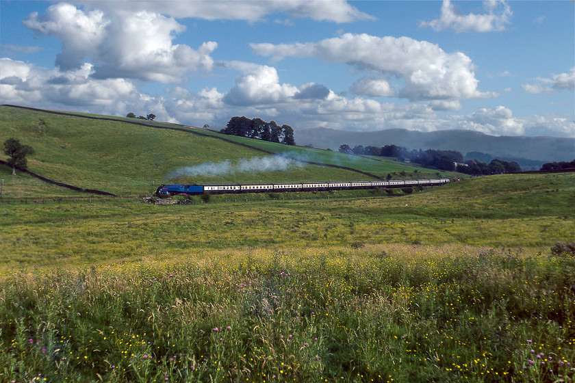 4498, return leg of The Cumbrian Mountain Express, Skipton-Carnforth, Giggleswick SD793638 
 With 850 'Lord Nelson' having worked the outward leg of The Cumbrian Mountain Express as far south as Skipton earlier in the day 4498 'Sir Nigel Gresley' was charged with the return working to Carnforth. In the late afternoon sunshine, under some lovely fluffy clouds and with the fells in the background, the locomotive and train make a fine sight as it accelerates away from Settle Junction at Giggleswick. The streamliners were never famed for both their exhaust displays and their sound with both of these characteristics belying the fact that the locomotive will be working hard climbing the long section of 1:100 at this location.

There is an audio recording of this event on my youtube channel, see...https://youtu.be/VhLK2dutJaM 
 Keywords: 4498 The Cumbrian Mountain Express Skipton-Carnforth Giggleswick SD793638 Sir Nigel Gresley