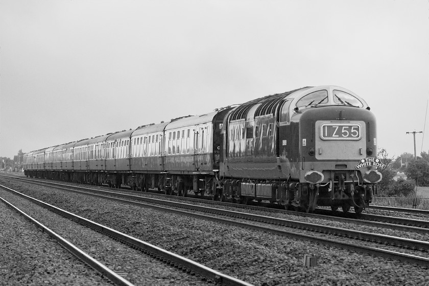 D9009, outward leg of The White Rose, 08.17 London King`s Cross-York (for 60163 on) (1Z55), Holme Green crossing TL192426 
 A little clichd maybe but I have given one of my images of D9009 'Alycidon' leading The White Rose charter a bit of Photoshop treatment! I have removed the entire electrification paraphernalia and desaturated the image to black and white. With the Deltic being in green and hauling an entire set of Mk. 1 stock the image has taken on a kind of 1960s feel.

There is an audio recording of this event on my youtube channel, see.... https://youtu.be/Qmvrcyazyng 
 Keywords: D9009 The White Rose 08.17 London King`s Cross-York 1Z55 Holme Green crossing TL192426 Deltic Alycidon