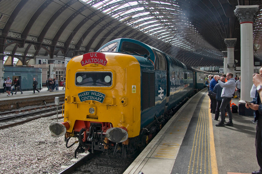 55009 (55013), outward leg of The Coronation Deltic, 07.52 London King's Cross-Scarborough (1Z55, 8L), York station 
 On arrival at York aboard The Coronation Deltic charter paused for a few moments for passengers choosing to alight and spend the rest of their day exploring the lovely city. This gave me enough time to dodge the throngs and grab a photograph of 55009 'Alycidon' (carrying the number and name 55013 'The Black Watch'). This spot on the former platform three was the classic location for Deltics to be spotted, copped and photographed back in the 1970s, see.... https://www.ontheupfast.com/p/21936chg/25366324804/class-46-class-55-unidentified-down 
 Keywords: 55009 55013 outward leg of The Coronation Deltic 07.52 London King's Cross-Scarborough 1Z55 York station The Black Watch Alycidon