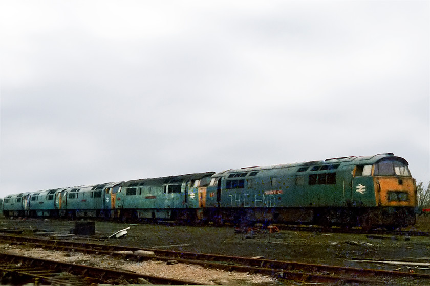 D1028 & class 52s, scrap-line, Swindon Works 
 D1028 'Wester Hussar' sits with some of its classmates on the scrap-line at Swindon Works. D1028 was instantly recognisable from all the others as it was daubed with 'THE END' by some class 52 enthusiasts no doubt. 
 Keywords: Swindon Works scrap lines D1028 Western Hussar