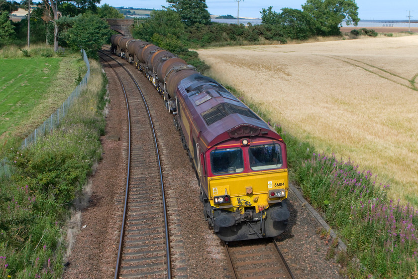 66014, 14.27 Dyce Raiths Farm FD-Mossend Down Yard, Inverkeilor NO668491 
 This must rank as one of my ultimate grab shots! As we pulled up to the bridge the train emerged from around the curve in the background. As I had my camera around my neck I leapt from the car and pointed it without even checking the settings. By hook or by crook the image that resulted was a reasonable one even if the composure could have been better given another minute or so! 66014 passes Inverkeilor with the 14.27 Dyce Raiths Farm fuel depot to Mossend yard empty tankers. The train is conveying empty aviation fuel tanks back from Aberdeen airport. I have been unable to find the reporting number of this working, if anybody can help with this it would be appreciated. 
 Keywords: 66014 14.27 Dyce Raiths Farm FD-Mossend Down Yard, Inverkeilor NO668491 Oil tanker