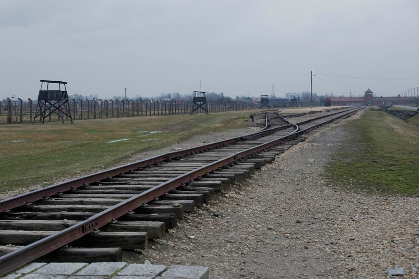 Auschwitz II-Birkenau 
 Although the angle is not quite the same, this image is very similar to the one that I took here before when visiting Auschwitz II-Birkenau, see.... https://allthatsinteresting.com/buried-auschwitz-letter The tracks were where the trains arrived and where the people were disgorged to await their fate. Those deemed fit for work were selected at the whim of a doctor and were then 'processed'. Those not selected were sent straight away to one of the two gas chambers located behind me where I am taking the picture from. 
 Keywords: Auschwitz II-Birkenau Holocaust death camps