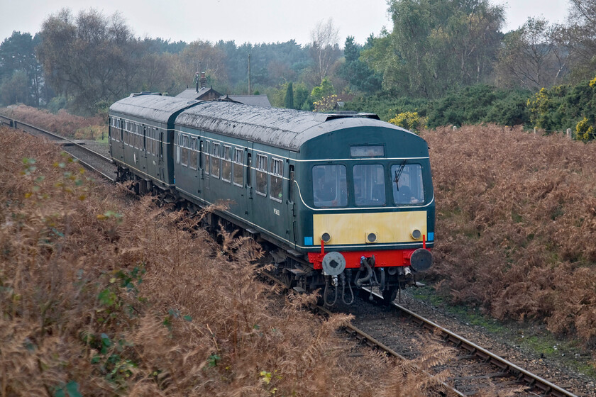 M56352 & M51192, 10.30 Holt-Sheringham, Kelling Heath 
 With a little mist taking the edge off the lighting M56352 and M51192 pass through a sea of bracken on Kelling Heath working the 10.30 Holt to Sheringham service. 
 Keywords: M56352 M51192 10.30 Holt-Sheringham Kelling Heath Class 101 DMU