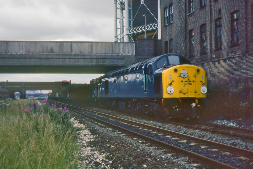 40018, unidentified down freight, Salford SJ815981 
 Getting trackside was a far for common practice back in previous times something, for so many reasons not undertaken today. However, it did afford some fascinating views of trains rather than from teetering on the top of ladders or craning over parapets! Here in Salford to the west of Manchester city centre 40018 ex 'Carmania' heads a short Sunday un-fitted freight. Notice 40018's number neatly painted on the nose in the middle of the marker discs that, unfortunately, they do not read anything but if the centre lower disc had been displaying white it would have been a Royal Train working! Back in 1980, I recorded an Ordnance Survey grid reference for this spot and this pinpoints it as being just about under the present-day A57 roundabout where the M602 starts. The two bridges in view here carry Windsor and West Eggerton Streets respectively. The large warehouse building and gasometer to the right have long been demolished with office blocks taking their place. 
 Keywords: 40018 unidentified down freight Salford SJ815981 Carmania