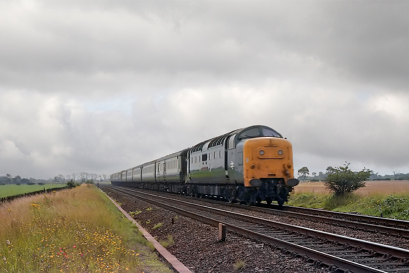 55013, Doncaster-Finsbury Park ECS (0B02), North Muskham level crossing SK790596 
 An unusual working is captured about to cross one of the level crossings at North Muskham just north of Newark. 55013 'The Black Watch' speeds south with a Doncaster to Finsbury Park ECS move running as 0B02. Despite being mid-August, we did not have great weather for our three-day trip with a lot of cloud that spoilt the pictures somewhat. 
 Keywords: 55013 Doncaster Finsbury Park ECS 0B02 North Muskham level crossing SK790596