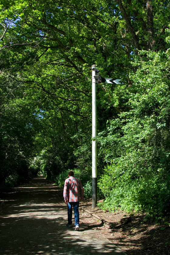 Mike, Harpenden Junction distant signal 
 What we presume to be the Harpenden Junction distant signal is seen in the early summer sunshine along with a short section of track. The last train ran on 27.06.79 with empty fly ash wagons leaving the line that was severed from the mainline at Harpenden Junction a month or so later. When the line was taken over by Hemelite (who made lightweight blocks. from power station fly ash) in 1968 it is believed that it was the only privately leased line in the country. The company used a pair of Drewry shunters (D2203 and D2207), an occasional leased in Class 08 and latterly an unreliable Clayton (D8568) to move the loaded and the empty former coal wagons the length of the line from their facility at Cupid Green to Harpenden Junction where they sat on the fast lines for about thirty minutes whilst a BR locomotive detached or attached itself. Needless to say, this took place in the middle of the night when there was no fast traffic! 
 Keywords: Mike Harpenden Junction distant signal