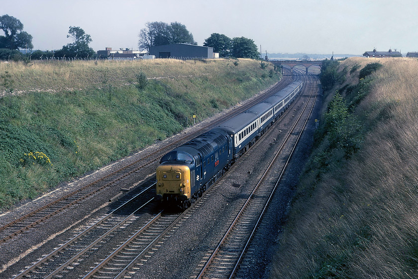 55014, 14.05 London King`s Cross-York (1L43), Essendine TF043129 
 This is my only picture of 55014 'The Duke of Wellington's Regiment' but what a lovely picture it is! In the August afternoon sun, it heads north past Essendine leading the 14.05 King's Cross to York, enlargement of the photograph reveals that this location is eighty-nine miles from London according to the mileposts. I visited this spot recently and it is broadly the sam,e but such an open picture is difficult due to tree growth and because of the electrification wiring. The bank on the far side has also been subject to some work and there are houses in front of the trees to the top left. Finally, a ladder is needed to get one's head above the parapet due to huge concrete 'toppers' that have been installed. 
 Keywords: 55014 14.05 London King`s Cross-York 1L43 Essendine TF04312