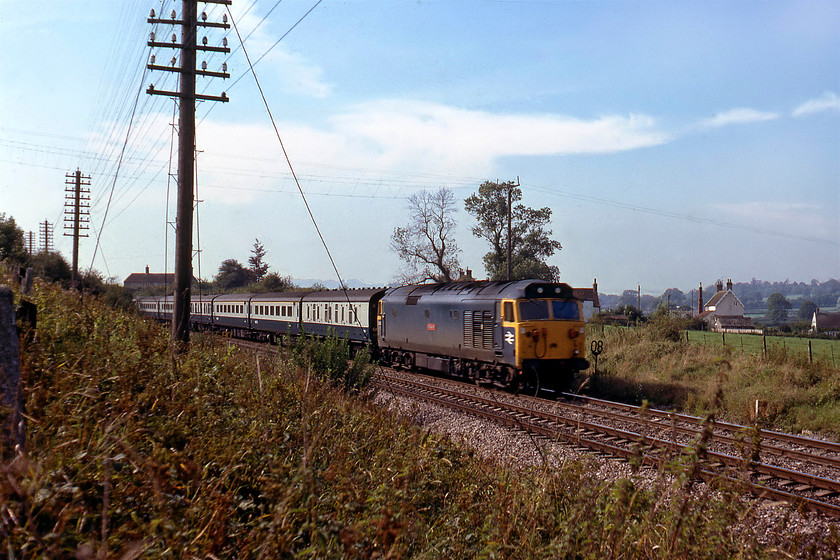 50009, 09.50 Plymouth-London Paddington (1A59), Blatchbridge Junction 
 In a scene that can only be taken in early autumn, 50009 'Conqueror' is about to rattle the timbers of Blatchbridge Junction signal box that is to my right. It is leading the 09.50 1A59 Plymouth to Paddington composed of Mk. II air-conditioned stock with the customary Mlk. I BG marshalled behind the locomotive. Notice the dead elm tree above 50009, just one of the thousands that had succumbed to Dutch elm disease. 
 Keywords: 50009 09.50 Plymouth-London Paddington 1A59 Blatchbridge Junction