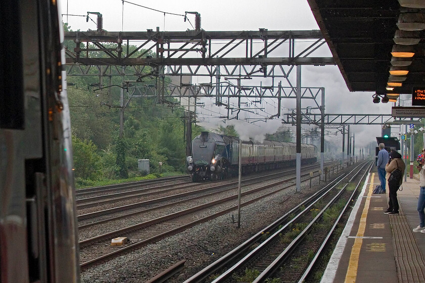 60007, outward leg of The London to Chester, 08.00 London Euston-Chester (1Z92, 1L), South Kenton station 
 'Oh. bugger'! Being bowled by another train is allways risky on busy lines such as this five-track section past South Kenton. During the quieter period on this early Saturday morning, the chances were much reduced of a clash but as 60007 'Sir Nigel Gresley' passes at speed a TfL Class 710 arrives blocking the view. A better image would have been captured if I had headed to the extreme southern end of the platform but I had no time to do this. The A4 Pacific was leading the 08.00 Euston to Chester charter running as 1Z92. 
 Keywords: 60007 The London to Chester, 08.00 London Euston-Chester 1Z92 South Kenton station Sir Nigel Gresley