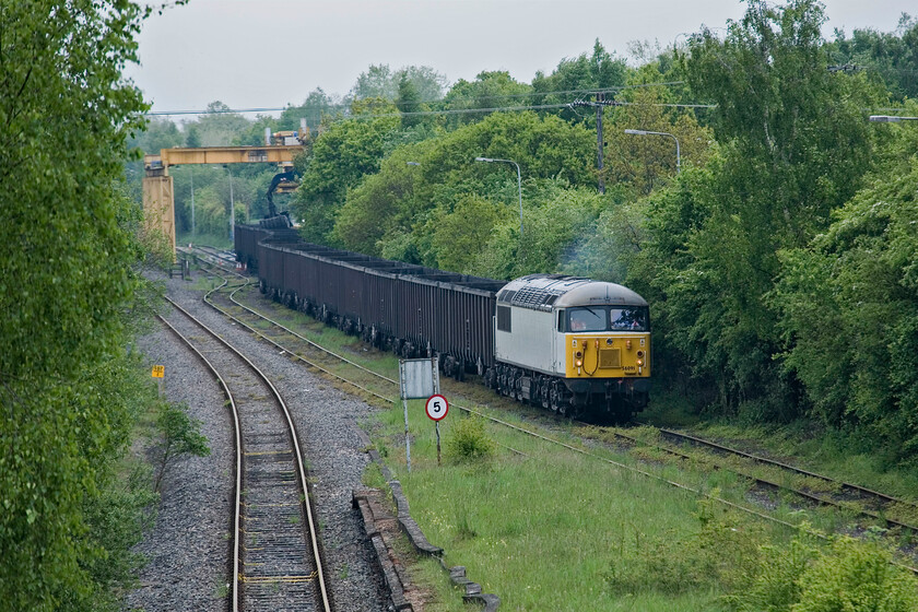 56091, unloading flyash, site of Calvert station 
 56091 idles at the head of its train composed of a rake of huge MBA box wagons. Towards the rear, the grab crane can be seen lowering onto the wagon to remove yet more flyash removed from the now-closed Didcot power station. 56091 is one of a small fleet of the class that DCR retains that are being used exclusively on this contract that started in October last year and that will finish very soon. 
 Keywords: 56091 unloading flyash site of Calvert station Didcot power station