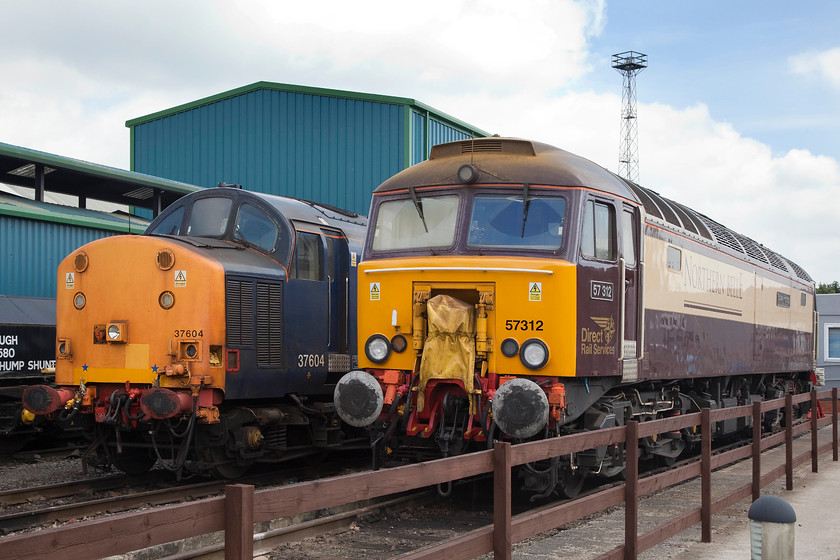 57312 & 37604, on-display, DRS Gresty Bridge 
 Another view of 57312 'Solway Princess' and 37604 on-display at DRS's Gresty Bridge open day. 37604 was new in February 1961 as D6707 and was used on the Great Eastern lines. Under TOPS it became 37007 and 37506 in 1985. Its final incarnation into 37604 took place in 1995. 
 Keywords: 57312 37604 DRS Gresty Bridge