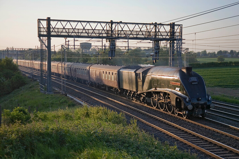 60009, on the up fast return leg of The Cheshireman, 17.07 Chester-London Euston (1Z73), Roade Hill 
 This isn't a site that I have ever seen before and one that I will not see again I suspect! The late-running Cheshireman charter that left at 17.07 from Chester heading back to Euston hauled by 60009 'Union of South Africa' was forced to take the 'old route' via Weedon rather than through Northampton. The diversion was due to the emergency closure of the Northampton loop at Long Buckby. Now much closer to its intended time it races past on the up fast line just south of Roade catching some lovely evening light. A number of Pendolinos were stacked up behind the charter but it was certainly going at some speed as it passed me so I doubt that they were much delayed. I wonder if the driver had route knowledge of the 'old line' or if a pilot joined the footplate at Rugby? 
 Keywords: 60009 The Cheshireman, 17.07 Chester-London Euston 1Z73 Roade Hill Union of South Africa