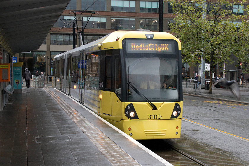 3109, Piccadilly-Media City service (Piccadilly Gardens-Media City), Piccadilly Gardens 
 My wife and took Metrolink's 3109, seen here arriving at Piccadilly gardens stop, to its termination at Media City. The Metrolink trams are absolutely superb being regular, efficient and cheap. Notice the pigeon in full flight to the far right of this image! 
 Keywords: 3109 Piccadilly-Media City service Piccadilly Gardens