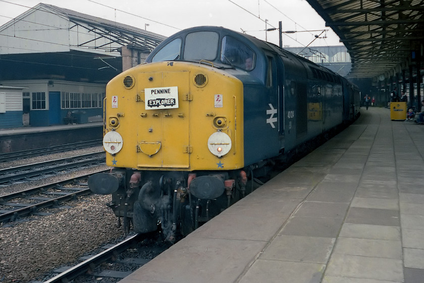 40024, outward leg of the Pennine Explorer, Cardiff Central-Rotherwood, Crewe station 
 This was a risky shot to take but one that I was determined to get! I wanted a picture of our train, the Pennine Explorer, with no other people spoiling the view. We had a crew change at Crewe so I positioned myself in the front vestibule and with the camera all ready, when we came to a halt, I dashed up to the front and got this picture of 40024 leading the train. A friend of mine held the door of the coach open. The railtour steward rushing along the platform made his views clear as he shouted up the platform to me! 
 Keywords: 40024 Pennine Explorer Cardiff Central-Rotherwood Crewe station