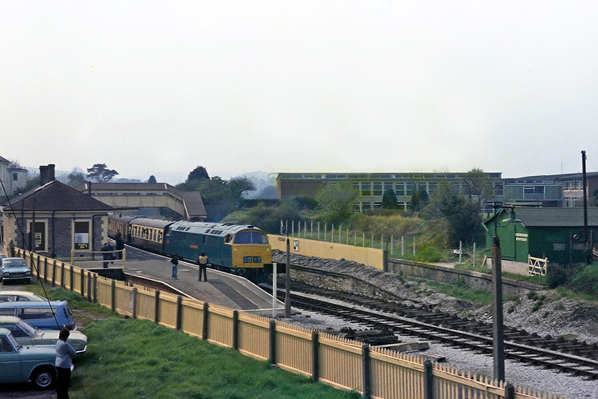 D1013, 13.45 Kingswear-Paignton, Churston station 
 We arrived at Churston station approximately midway along the length of the Torbay and Devon Railway (as it was called then) just in time to see D1013 'Western Ranger' arrive with the 13.45 Kingswear to Paignton service. The train is seen from the A3022 road bridge, a view today that is not possible because of expansion around the station environs. In the background are the buildings of Churston Ferrers Grammar School. 
 Keywords: D1013 13.45 Kingswear-Paignton Churston station