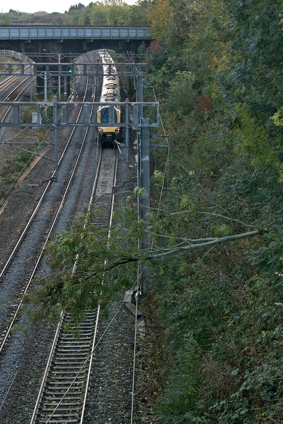 221106, stopped, dead train ex Milton Keynes Central (1Z77), Hyde Road bridge 
 This is what happens if you do not manage the embankments and trackside areas of your railway! After what was, admittedly, a particularly severe weather burst lasting some fifteen minutes or so this tree along with a number of others further down the line crashed on to the line and the catenary causing the line to be closed. The slow lines were unaffected with no blockages but they were under a planned engineering possession so could not be used to divert passenger workings causing absolute chaos! Within a couple of hours the engineering blockade was lifted early and trains diverted around the damage to the fast lines. The first Pendolinos started to pass this spot on the slows by midafternoon. Notice the black burning to the trunk of the poor unfortunate juvenile ash tree that was wiped out by the very strong wind event a little earlier. 
 Keywords: 221106 dead train ex Milton Keynes Central 1Z77 Hyde Road bridge Avanti West Coast Voyager