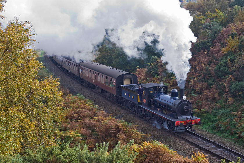 564, 10.30 Sheringham-Holt, Kelling Bank 
 Former GER Y14 564 storms up Kelling bank with the first steam working of the day, the 10.30 Sheringham to Holt. It made a purposeful departure from Weybourne station some mile from where this picture was taken to then ease back as it approached and slow to a little more than walking place suggesting that it may be in some sort of trouble. I love the lighting in this autumnal image with the moring sun picking out some delicious colouring in the decaying leaves prior to their imminent dropping.

An audio recording of this event can be enjoyed at..... https://youtu.be/maYGM2nKDgY 
 Keywords: 564 10.30 Sheringham-Holt Kelling Bank NNR North Norfolk Railway GER Y14