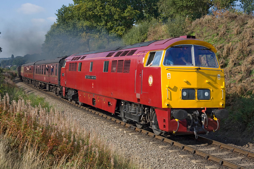 D1015, 13.54 Bewdley-Kidderminster, West Midlands Safari Park SO799748 
 D1015 'Western Champion' under power gets the 13.54 Bewdley to Kidderminster away past the West Midlands Safari Park with a characteristic plume of exhaust from the twin Maybach MD655 engines. The locomotive is operated by the DTG (Diesel Traction Group) who have an excellent and very informative web site relating to the locomotive at http://www.westernchampion.co.uk/loco-d1015.php This contains some fascinating information about the inauspicious end to this locomotive's BR career during December 1976 following a very minor derailment at Castle Cary of all places! Following this event it ended up at Swindon works where I photographed it in slightly worse condition than it is seen here, see....... https://www.ontheupfast.com/p/21936chg/29376551004/x1-d1015-awaiting-restoration-swindon

There is an audio recording of this event on my youtube channel, see https://youtu.be/M4fgHIjyqP4 
 Keywords: D1015 13.54 Bewdley-Kidderminster West Midlands Safari Park SO799748 SVR Severn Valley Railway Diesel Gala Western Champion DTG