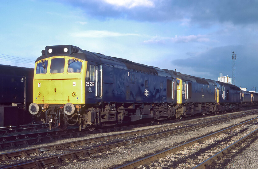 25259, 25274 & 40129, stabled, Severn Tunnel Junction 
 Under a dramatic late afternoon sky at Severn Tunnel Junction a trio of BR's finest await their next work, as it's a Saturday I suspect none will move until Monday morning. This lineup is led by 25259 (02.04.66-03.09.86), 25274 (30.07.65-02.05.82) and 40129 (18.01.61-24.05.84). In the adjacent siding towards the rear is a couple of unidentified Class 47s that I did not even write down in my notebook such as their importance or significance at the time! 
 Keywords: 25259 25274 40129 stabled Severn Tunnel Junction