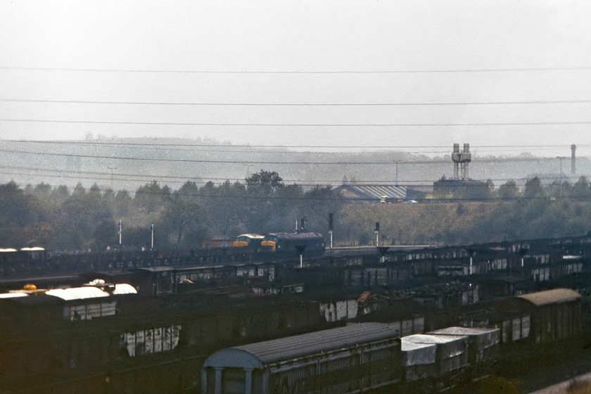 44007 & 44008, down freight workings, Toton Yard 
 As I was disappointed that there appeared to be only one of the remaining class 44s about on this day, I took a walk up to the famous bank to take in the vista of the yard. Then, of course, the two remaining members of the class appeared at once! First, 44007 (ex D7, 'Ingleborough') arrived from the south on a PW working. Then, horror of horrors, celebrity 44008 (ex D8, 'Penyghent') arrived light engine form the north. They both stopped side by side right next to my previous location, the hut near the entrance, and there I was high up on the bank a fifteen minutes walk away......ahh. the joys of our hobby! Just a note regarding this particular photograph, this was one removed from the reject box as it was chronically underexposed. However, with very careful use of Photoshop, I have managed to get it to a presentable level. I revisited this spot in 2020 over forty years on from when I took this photograph and took a similar angled image but not so zoomed, the comparison is interesting, see.... https://www.ontheupfast.com/p/21936chg/29595737604/class-60s-stored-toton-yard-60067 
 Keywords: 44007 44008 freight workings Toton Yard