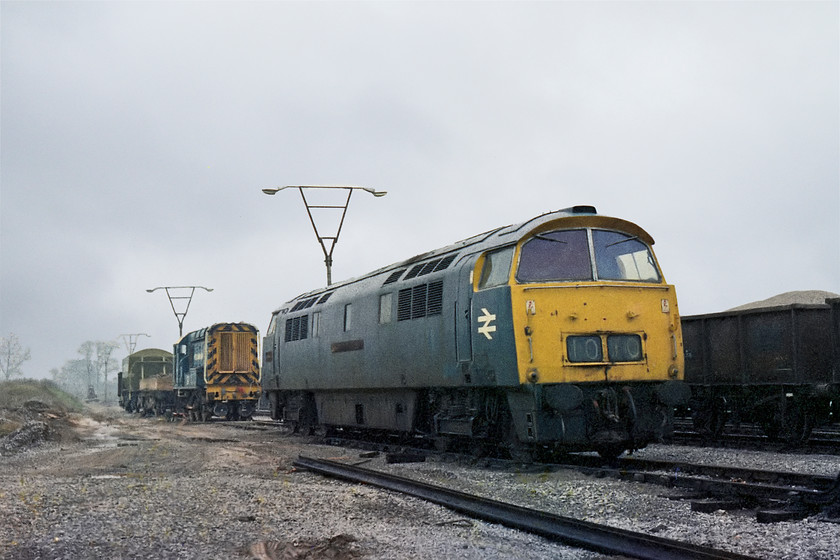 D1010 & 08032 or 08033, stored & stabled, Merehead Quarry 
 On our way down to Devon we stopped off at Merehead Quarry in Somerset. The gates were open so we wandered down into the yard and found D1010 'Western Campaigner' stored. Behind it is one of the two (at the time) resident shunters 08032 or 08033. D1010 had been bought by the Foster Yeoman company with plans to restore it and rename it 'Western Yeoman'. These plans did not come to fruition with the Western eventually passing to the Diesel and Electric Preservation Group who restored it. It now resides at the West Somerset Railway. 
 Keywords: D1010 08032 08033 stored stabled Merehead Quarry