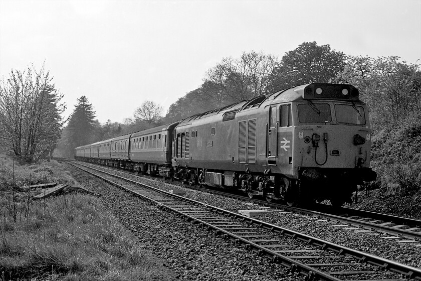 50007, unidentified up diverted working, Bradford-on-Avon no. 1 crossing ST822605 
 With me foolishly taking no notes on this trip of the numbers and workings very few have been identifiable. However, there is no doubt as to which Class 50 this one is with its nameplate being clear read. 50007 'Hercules' approaches Bradford-on-Avon from the Bath direction working an unidentified up working for Paddington composed of largely Mk. IIC non-air-conditioned stock with its pressure ventilation system instead. 50007 had just over a year in this guise before entering Doncaster for its much-needed complete rebuild emerging in large logo livery during February 1983. Of course, this would mean significant alterations to the filtration system and a new scavenger induction fan with the consequential loss of its charismatic 'hoover' soundtrack! 
 Keywords: 50007 diverted working Bradford-on-Avon no. 1 crossing ST822605 Hercules