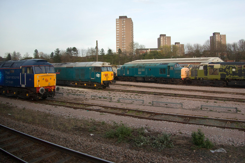 47813, 50049 & class 37s, stabled, UKRL depot, Leicester 
 As we pass UKRL's (UK Rail Leasing) facility at Leicester a selection of their eclectic motive power is on view. To the left, 47813 'Jack Frost' blocks out part of 50008 'Thunderer' that itself is in a strange version of BR blue. Three unidentified class 37s are in the background, any help with identifying these would be appreciated. 
 Keywords: 47813 50049 class 37s UKRL depot Leicester