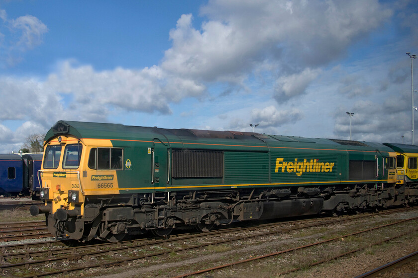 66565 & 66528, stabled, Westbury Yard 
 On the approach to Westbury station from the west, there are usually a number of locomotives in view on both sides of the train one is travelling on. I managed a photograph of Freightliner's 66565 with 66528 'Madge Elliot MBE-Borders Railway Opening 2015' in the yard. Both of these Class 66s have been photographed before with the named example seen last year passing near to home also in some nice sunshine, see.... https://www.ontheupfast.com/p/21936chg/30013794666/x66528-06-00-crewe-basford-hall-felixstowe 
 Keywords: 66565 66528 Westbury Yard Freightliner Madge Elliot MBE-Borders Railway Opening 2015