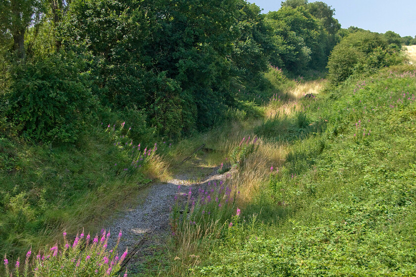 Trackbed looking SW, Hammerwich SK074071 
 It has been eleven years since a train last passed this spot on the former South Staffordshire Railway linking Walsall (Norton Junction) with the Midland route at Wichnor Junction. It is impressive how quickly nature is reclaiming the trackbed with just some ballast and redundant track in view here. The picture is taken from the former station footbridge at Hammerwich. 
 Keywords: Trackbed looking SW, Hammerwich SK074071 South Staffordshire line