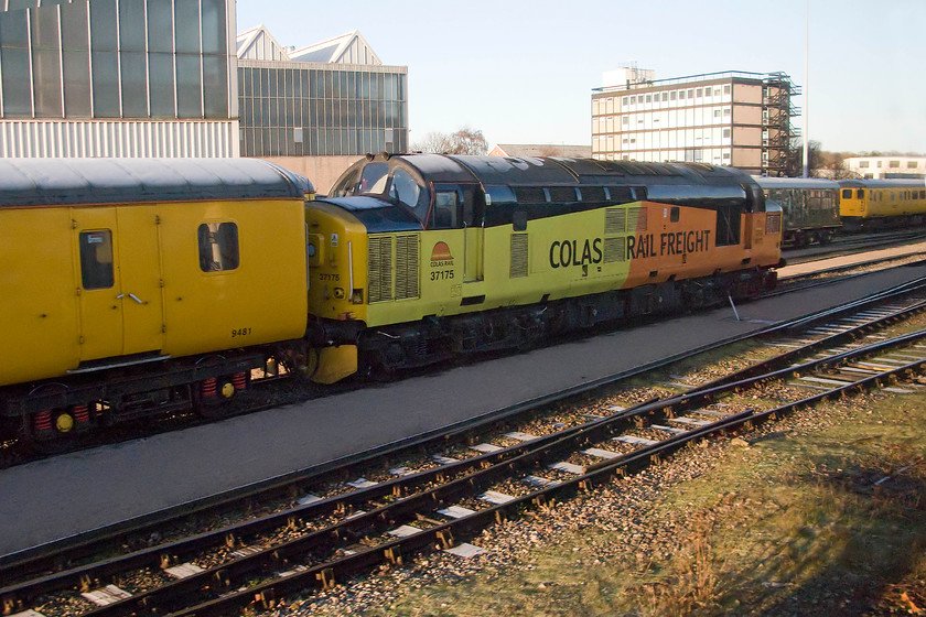 37175, stabled, RVEL Derby 
 In Colas livery, 37175 sits outside RVEL at Derby. After being withdrawn in 2006 it was reinstated in January 2014 having undergone refurbishment. It is attached to a former First Great Western Night Riviera Mk. 2D day coach 9481. This is now part of the Network Rail test train being used as a support coach. 
 Keywords: 37175 RVEL Derby