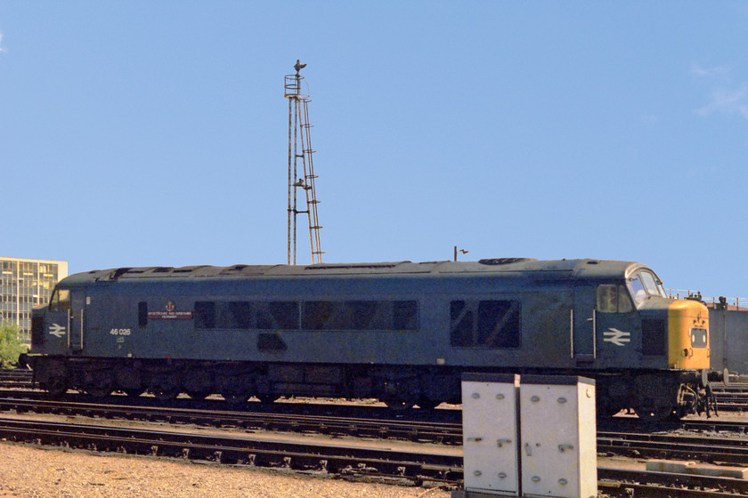 46026, stabled, Bristol Bath Road MPD 
 Basking under a clear blue summer sky, 46026 'Leicestershire & Derbyshire Yeomanry' sits in the sun just outside of Bristol's Bath Road depot. This was the only member of these 136-ton leviathans that was named. I remember that I made my own set of diesel locomotive Top Trump cards using the pictures cut up from an old Ian Allen Combined book. The Class 46 would always win the weight category; nothing was heavier!