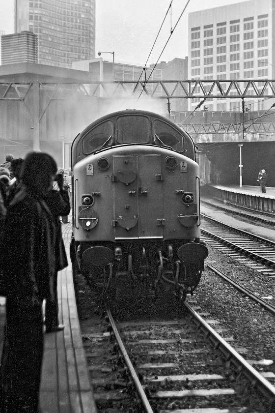 40113, outward leg of The Crewe Campaigner Relief, 07.35 London Paddington-Crewe (1Z68), Birmingham New Street station 
 40113 backs on to the stock of The Crewe Campaigner Relief railtour at Birmingham New Street. Attached to the other end of 40113 is 40144. Once attached, the pair of 40s then took the train to Crewe via Shrewsbury with a photo-stop at Wellington. 
 Keywords: 40113 The Crewe Campaigner Relief 07.35 London Paddington-Crewe 1Z68 Birmingham New Street station