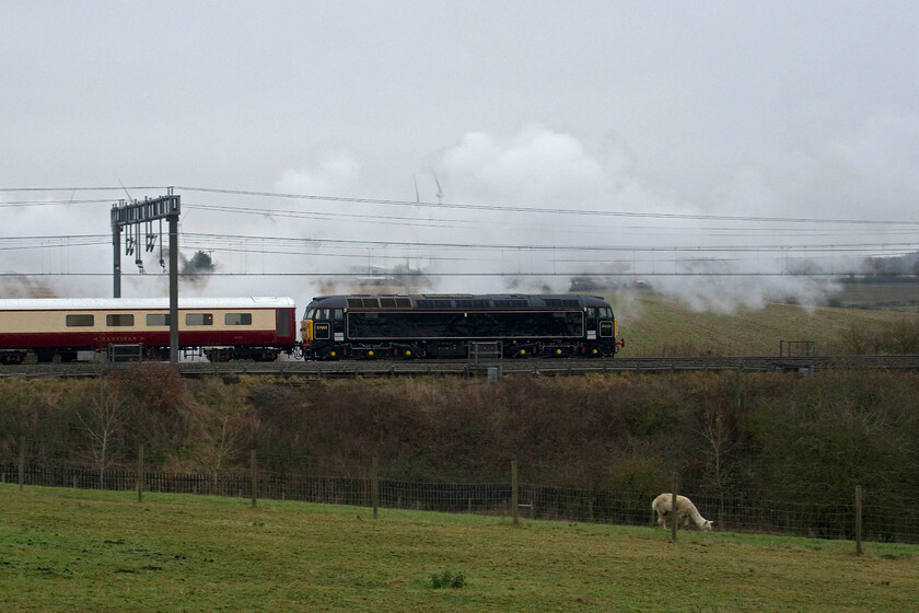 57002, 11.20 Southall LSL-Crewe LSL (5Z72, 8E), between Roade & Ashton 
 With the exhaust from 46100 'Rayel Acot' still lingering, 57002 is seen at the rear of its train giving the 4-6-0 a helpful shove. The train is the 11.20 Southall LSL to Crewe LSL empty stock move running as 5Z72 and is seen passing the fields just south of Roade in Northamptonshire. With the train passed I nipped back on my bike to get home and continue with my decorating. By the time I had reached Ashton Road bridge some whiffs of exhaust from Royal Scot were hanging about as the cloudy conditions had induced completely still conditions. 
 Keywords: 57002 11.20 Southall LSL-Crewe LSL 5Z72 between Roade & Ashton Royal Scot 46100