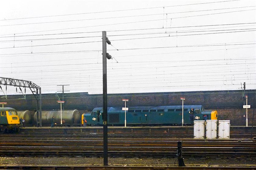 Class 84 & 40186, up tanker train, Crewe station 
 40186 arrived at Crewe with an up tanker train in the late afternoon. We were so excited to see this as it was the only 40 of the day! We rushed over but it actually stayed at the platform for sometime. In this image, don't ignore the class 84 standing in the adjacent platform, unfortunately, I don't have its number. 
 Keywords: 40186 Crewe