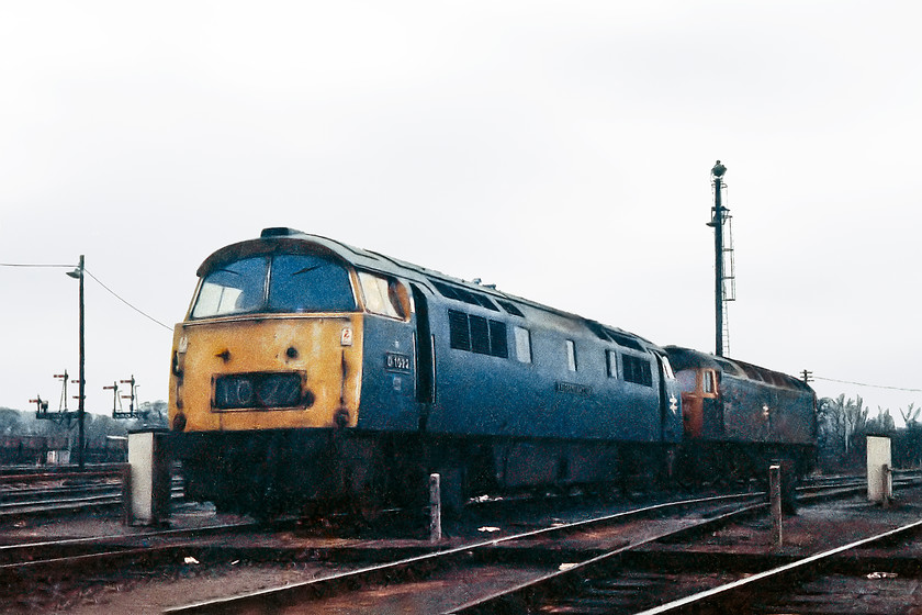 D1022 & 47066, stabled, Westbury MPD 
 A very grey light hangs over Westbury Depot that did not help my attempts at photography! Remember, I was using an unbranded 35mm film supplied by Tripleprint 'free' when you sent your film for processing. D1022 'Western Sentinel' looking very sorry for itself stands on-shed at Westbury with 47066 behind it. 47066 was a steam-heat member of the class that spent its early life in the West Country. It went through a number of incarnations and, at the time of writing, it is still extant at Crewe all-be-it in shocking condition and long withdrawn. In the background, just look at those GW lower quadrant signal brackets controlled by Westbury South signal box. 
 Keywords: D1022 47066 Westbury MPD