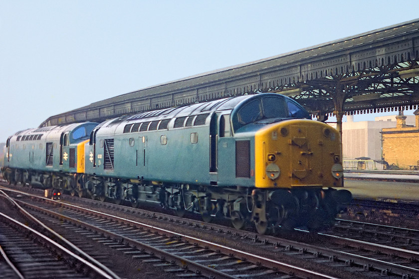 40081 & 40083, up LEs for the Deltic to Devon Cromptons in Cornwall railtour, York station 
 When 40081 and 40083 came light engine through York station, little did I know that I would see them again in less than twelve hours just outside Westbury in Wiltshire! It was later that I found out that they were heading south in preparation to haul the 'Deltic to Devon' railtour in lieu of a Deltic. Should the railtour have been renamed the 'Whistlers to Devon'?