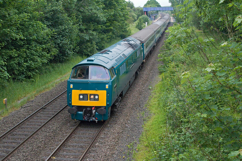 D1015 (D1011), outward leg of The English Riviera Airshow, 06.20 Tame Bridge Parkway-Paignton (1Z50, 23L), King's Sutton SP494358 
 Shattering the peace and quiet of the Northamptonshire countryside sounding absolutely superb D1015 'Western Champion' passes King's Sutton leading the outward leg of The English Riviera Airshow charter. The train had left Tame Bridge Parkway at 06.20 arriving at Paignton a little late. It cannot be seen in this image but D1015 is masquerading as D1011 'Western Thunderer'. This is perhaps in a nod to the fact that one of the front valances was removed from that locomotive and fitted to D1015 back in the early days of the DTG's preservation antics at Swindon in 1979. It was the damage to the valance and an air tank that precipitated the withdrawal of D1015 following a light derailment at Castle Cary on 08.12.76. 
 Keywords: D1015 D1011 outward leg of The English Riviera Airshow, 06.20 Tame Bridge Parkway-Paignton (1Z50, 23L), King's Sutton SP494358