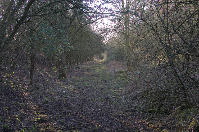 Former SM&J trackbed looking west, Roade SP755509 
 The former trackbed of the SM & J railway looking west just south of the village of Roade in Northamptonshire. Whilst this would normally be completely taken over by wildlife, there is a footpath along the trackbed that keeps the worst of it at bay! 
 Keywords: Former SM&J trackbed looking west Roade SP755509