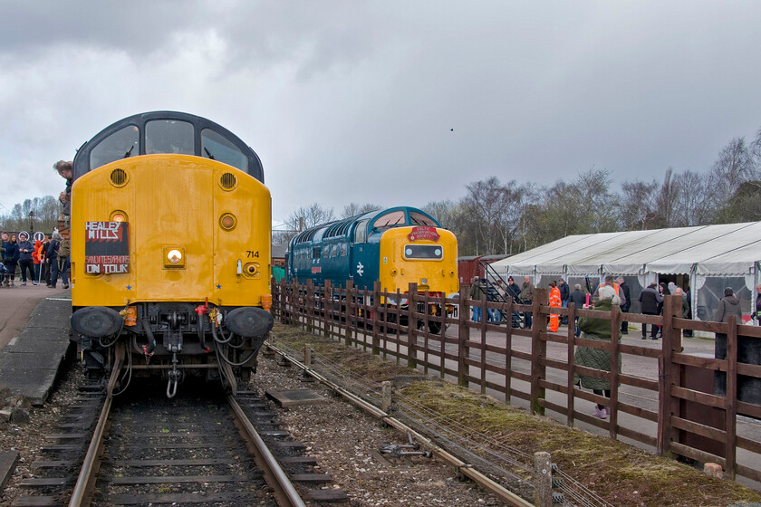 37714 & 55009, 10.30 Loughborough GCR-Quorn & Woodhouse, Quorn & Woodhouse station 
 The 10.30 Loughborough (GCR) to Quorn and Woodhouse 'special' came to a halt north of the station for 55009 'Alycidon' to then detach and move forward into the station yard siding as seen here. This left 37714 'Cardiff Canton' to bring the train into the station for DPS members to disembark ready for the Society's AGM to be held in the marquee seen to the right. The transportation of members on a train hauled by one their own locomotives was an obvious draw and saw many more attend the AGM than would normally be the case; a big success I would say. 
 Keywords: 37714 55009 10.30 Loughborough GCR-Quorn & Woodhouse Quorn & Woodhouse station Cardiff Canton Alycidon