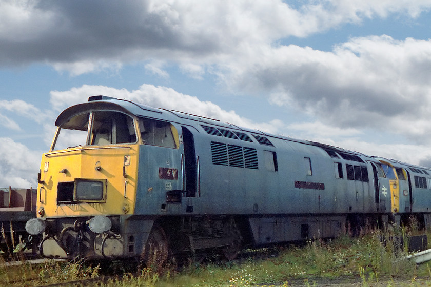 D1011 & D1022, scrap line, Swindon Works 
 D1011 'Western Thunderer' and D1022 'Western Sentinel' languish in the early autumn sunshine. D1011 had been at the works for 2 years by the time this picture was taken and D1022 just 10 months.