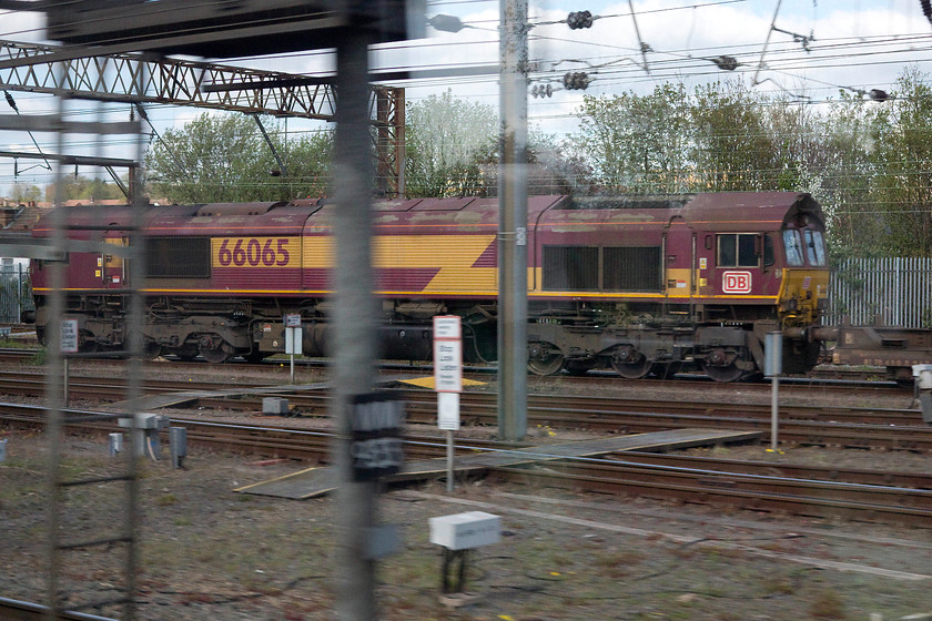 66065, stabled, Wembley Yard 
 66065 in its old EWS livery but with a crudely applied DB vinyl on the cab side sits at the north end of Wembley Yard with a northbound Freightliner. This train will depart from the yard and follow us up the WCML soon after we have passed. 
 Keywords: 66065 stabled Wembley Yard