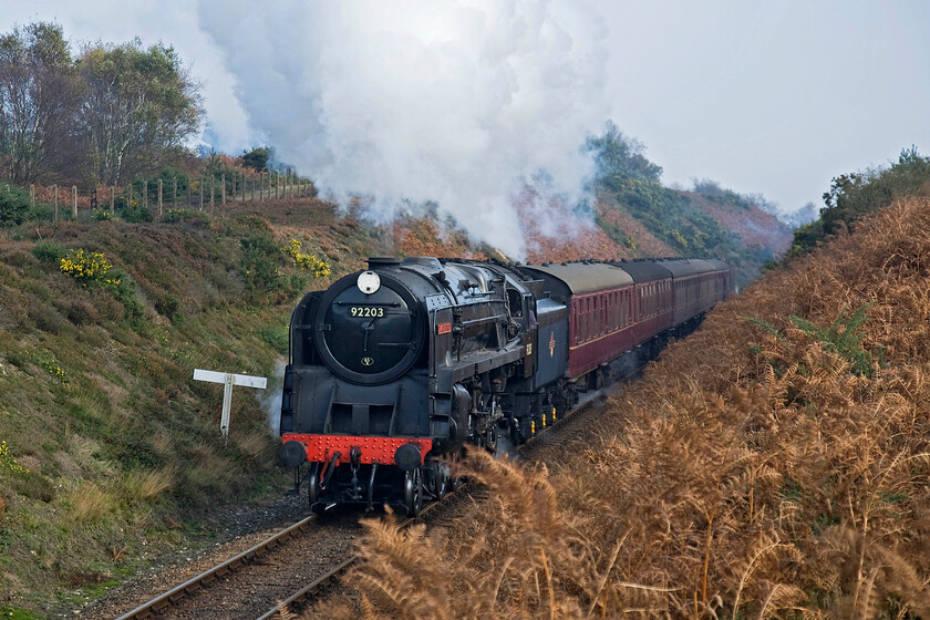 92203, 10.30 Sheringham-Holt, Kelling Heath 
 Version two of the same train.....

Now using a longer focal length focusing on the train with less of the surroundings reveals more detail. The exhaust has been cropped but with more detail of the locomotive, the emphasis is different. 92203 'Black Prince' leads the NNR's 10.30 Sheringham to Holt at the top of Kelling bank.

I will let you decide what version of what is the same train at the same location you prefer......! 
 Keywords: 92203 10.30 Sheringham-Holt, Kelling Heath 9F Black Prince