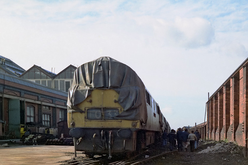 D1033, awaiting cutting, Swindon Works 
 D1033 'Western Trooper' heads a long line of Westerns at the back of Swindon Works. D1033 was withdrawn in September 1976 and, at the time that this picture was taken had been a Works resident for over a year. Perhaps its extended stay of execution and that it was covered with a tarpaulin was indicative of a preservation move? Sadly, 'Western Trooper' did not emerge from the works again.