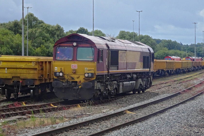 66075, shunting, Westbury yard 
 66075 is seen from the platform end of Westbury station undertaking various moves up and down the sidings adjacent to some rakes of stone wagons. Still a mecca for all sorts of locomotives a further two red DB Class 66s can be seen further down the yard. Back in my 1970s spotting days I used to take a small pair of binoculars with me when visiting Westbury in a vain attempt to get the numbers of the locomotives on-shed unless I made the walk all the way from the station around and down to the shed and blagg a quick walk round! 
 Keywords: 66075 shunting Westbury yard EWS