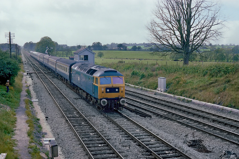 47510, 10.48 Penzance-London Paddington (1A41), The Cornish Rivera, Fairwood Junction 
 47510 is seen passing over Fairwood Junction taking the Westbury cut-off with the 1A41 10.48 Penzance to Paddington, the fabled Cornish Riviera. I suspect that on the day my spotting companion and school friend Duncan Copeman, who is seen standing trackside on the left of the image, and I would have been a little disappointed that this working did not produce a class 50 as was more usual. I saw this locomotive just under a year earlier at Crewe Works open day having sustained under-body fire damage. Unfortunately, this pyrotechnically challenged loco. was ultimately withdrawn, numbered as 47713 when it suffered another blaze, this time in the engine compartment in July 1988. Following this, it was cut-up at Vic Berrys Leicester yard during 1990. 
 Keywords: 47510 10.48 Penzance-London Paddington The Cornish Rivera 1A41 Fairwood Junction