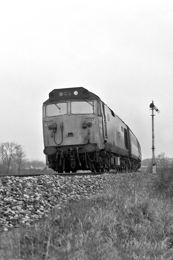 50005, unidentified up working, Heywood Road 
 A striking picture of 50005 'Collingwood' as it takes the sharp curve off the Westbury cut-off at Heywood Road Junction with an unidentified up working. If anybody can help with the working I would be very appreciative, check the date, 03.03.79 and the time was about 11.30. Notice the '05' suffix printed on the covered up headcode panel between the two domino dots helping us spotters identify the locomotive. 
 Keywords: 50005 up working Heywood Road